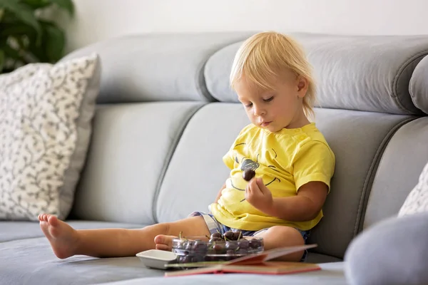 Sweet toddler boy, sitting on a couch, eating cherries and looki — Stock Photo, Image