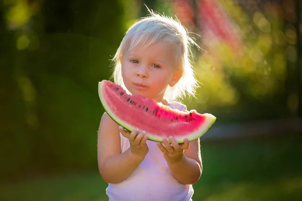 Rozkošné batole, chlapečku, jedný zralý meloun v zahradě — Stock fotografie