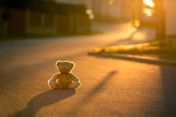 Pequeño osito de peluche, sentado en la calle al atardecer, retroiluminado —  Fotos de Stock