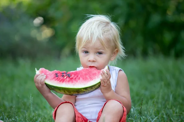Симпатичный малыш, мальчик, ест спелый арбуз в саду — стоковое фото