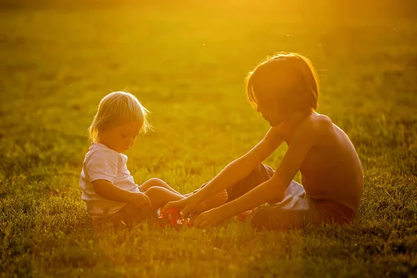 Hermoso niño pequeño y hermanos, jugando con juguetes de plástico , — Foto de Stock