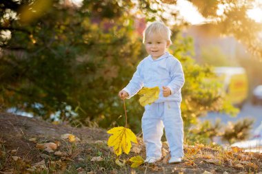 Sevimli sarışın bebek bebek çocuk peluş ile sonbahar parkta yürüyüş