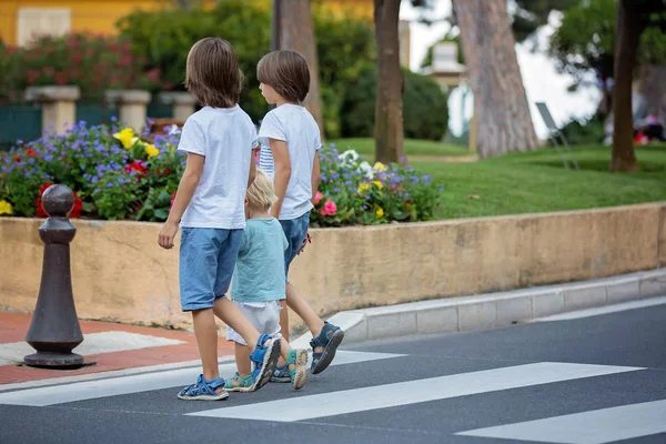 Трое детей, мальчики, братья, держатся за руки и переходят улицу — стоковое фото