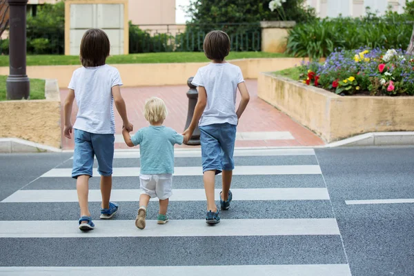 三个孩子，男孩，兄弟，手牵手，穿过一条小道 — 图库照片