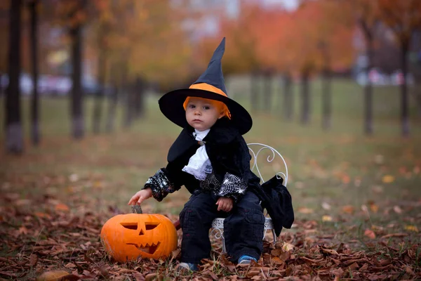 Children having fun with halloween carved pumpkin in a park, wea — Stock Photo, Image