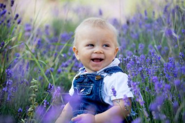 Rahat bezler tatlı yürümeye başlayan çocuk, lavanta alanında oturan,