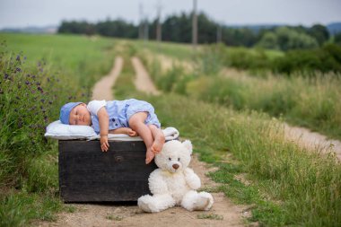 Sevimli yürümeye başlayan çocuk, oyuncak ayı o ile vintage bavul üzerinde uyku