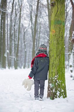 Üzgün kayıp çocuk, çocuk oyuncak ayı, bir orman içinde kış