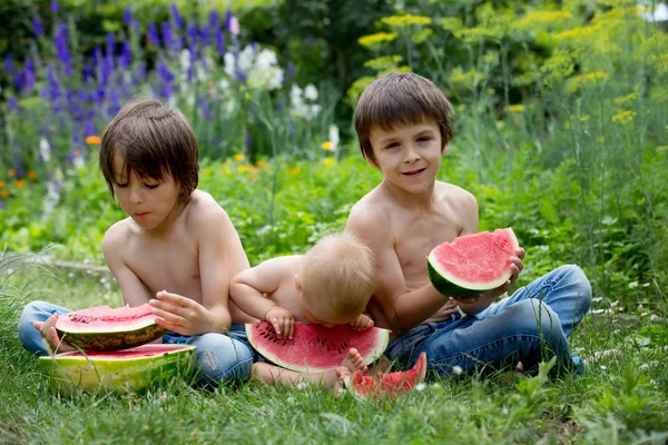 Cute children, baby boy and two brothers, eating ripe watermelon — Stock Photo, Image