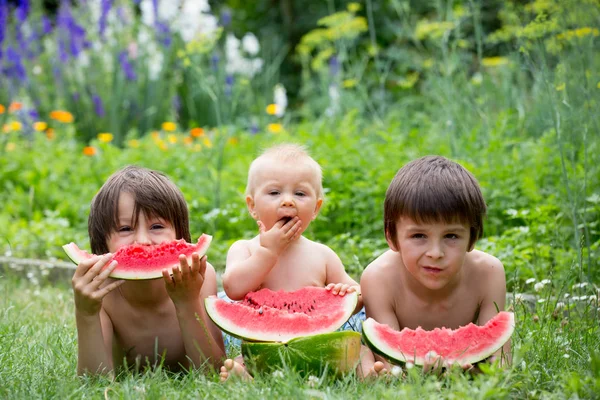Милые дети, мальчик и два брата, едят спелый арбуз — стоковое фото