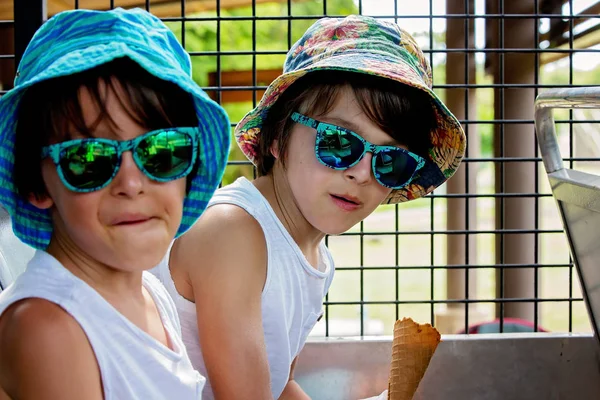 Kinder, die im Safaribus Eis essen, während sie Anima beobachten — Stockfoto