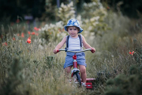 Gelukkig mooie peuter kind, het houden van boeket van wilde bloemen , — Stockfoto