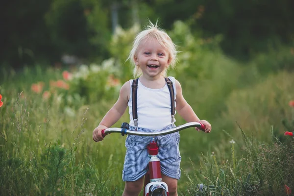 Gelukkig mooie peuter kind, het houden van boeket van wilde bloemen , — Stockfoto