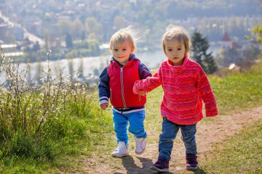 Toddler çocuklar, el ele tutuşarak, bir yolda birlikte yürüyüş