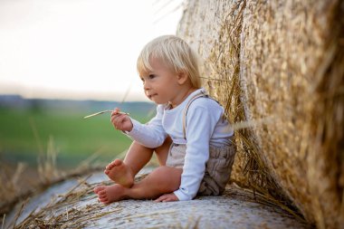 Mutlu çocuklar, yaz aylarında samanlıkta oynuyorlar.