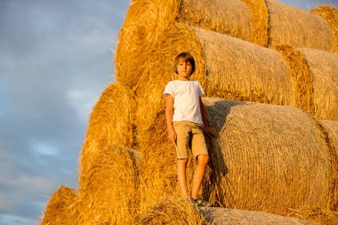Mutlu çocuklar, yaz aylarında samanlıkta oynuyorlar.