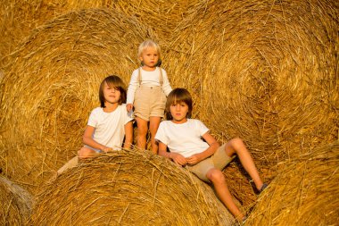 Mutlu çocuklar, yaz aylarında samanlıkta oynuyorlar.