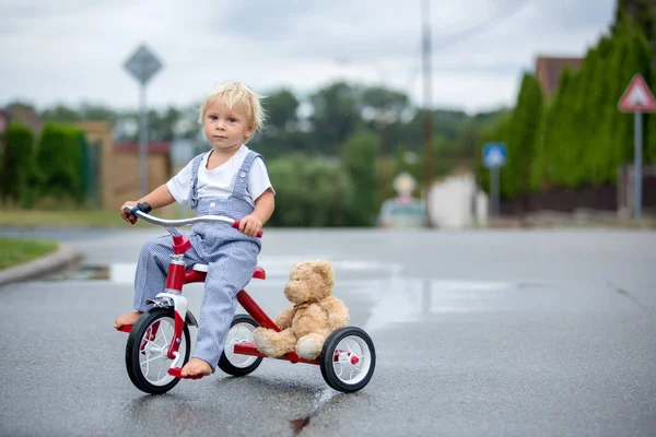 Lindo niño pequeño, con juguete de oso de peluche, montar en triciclo en el str — Foto de Stock