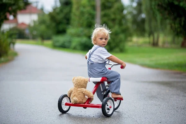 Menino bonito, com brinquedo de ursinho de pelúcia, montando triciclo no str — Fotografia de Stock