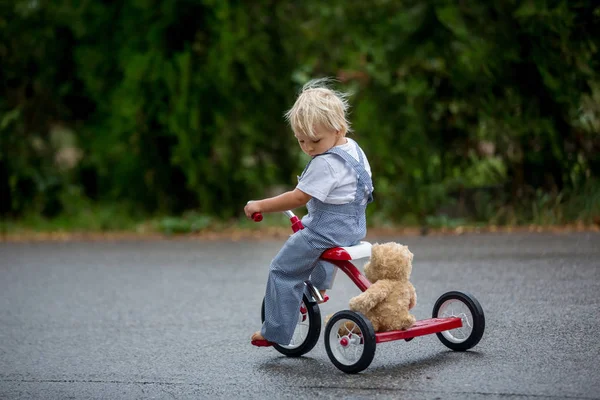 Милый маленький мальчик, с игрушкой плюшевого мишки, катается на трехколесном велосипеде по улице — стоковое фото