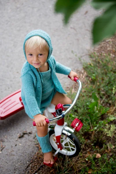 Adorable niño pequeño con traje de punto, montar en triciclo en una q — Foto de Stock