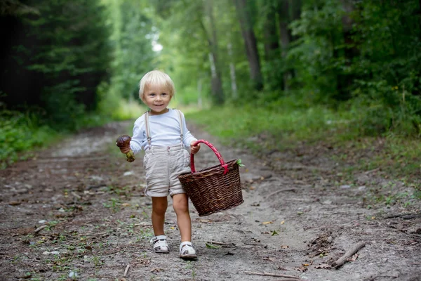Rozkošné dítě, malý chlapec, který vybírá houbu v koši — Stock fotografie