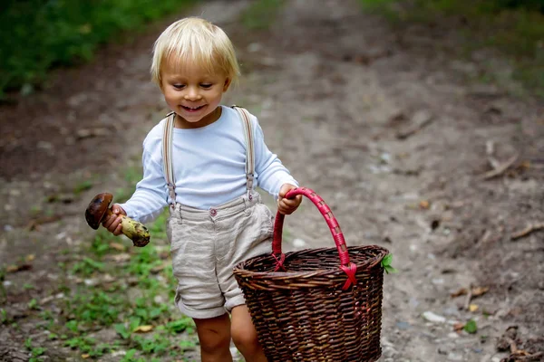 Adorabile bambino, bambino che raccoglie funghi nel cestino — Foto Stock