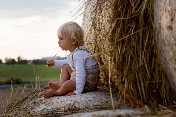 Mutlu çocuklar, yaz aylarında samanlıkta oynuyorlar.