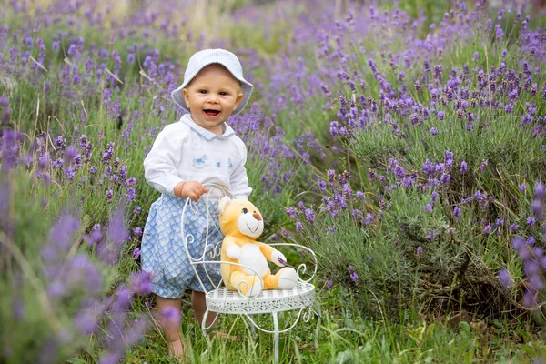 Bébé garçon heureux dans le champ d'été lavande — Photo