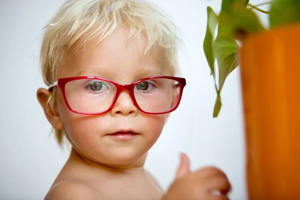 Süßer kleiner Junge mit roter Brille auf weißem Hintergrund, makin — Stockfoto