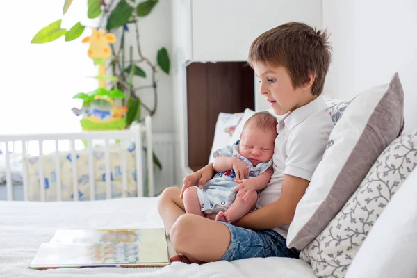 Sweet preschool boy, reading a book to his newborn brother, sitt — Stock Photo, Image