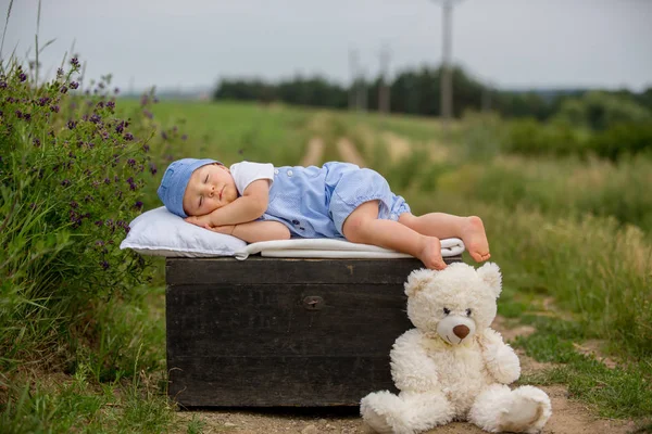 Cute toddler boy, sleeping on vintage suitcase with teddy bear o — Stock Photo, Image