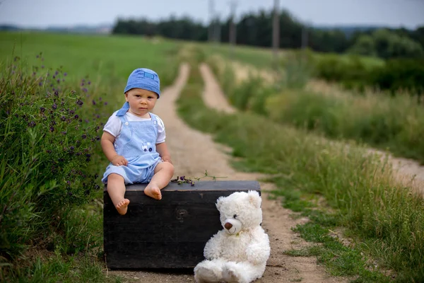 Carino bambino ragazzo, seduto sulla valigia d'epoca, giocando con tedd — Foto Stock