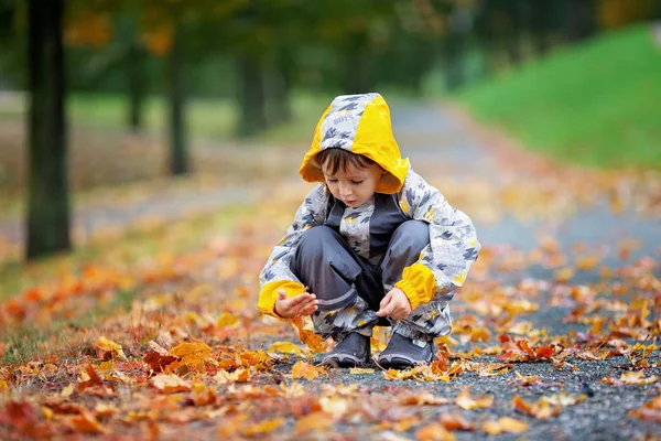 Little boy, playing in the rain in autumn park — Stock Photo, Image