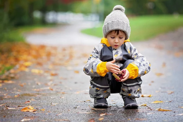 Lieve kind, jongen, spelen in het park op een regenachtige dag — Stockfoto