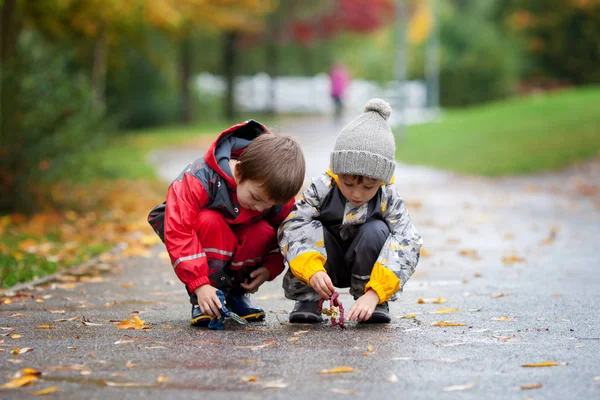 Deux enfants, jouant avec des jouets dans le parc un jour de pluie — Photo