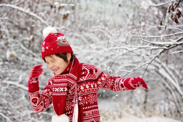 Sevimli küçük yürümeye başlayan çocuk ve onun ağabeyleri, açık havada oynarken