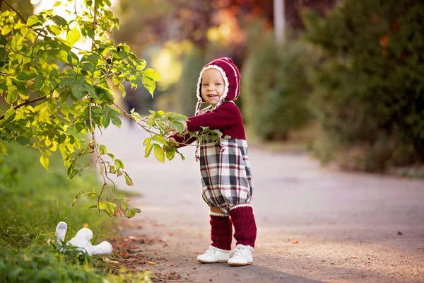 Örme kıyafeti ile Şık küçük yürümeye başlayan çocuk, bir yürüyüş — Stok fotoğraf