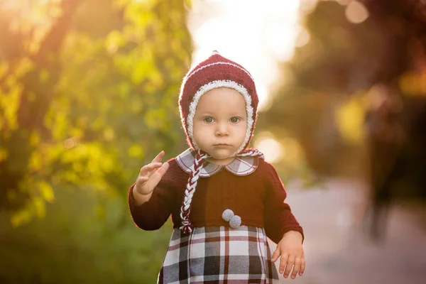 Menino de criança elegante com roupa de malha, andando em um — Fotografia de Stock