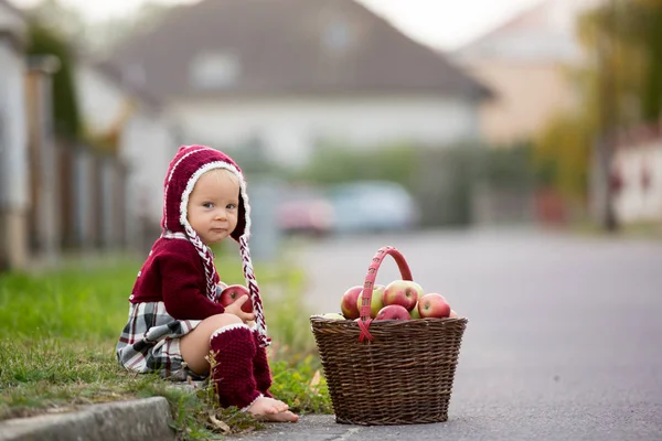 Sonbaharda bir köyde elma yiyen bir çocuk. Küçük erkek çocuk oyunu — Stok fotoğraf