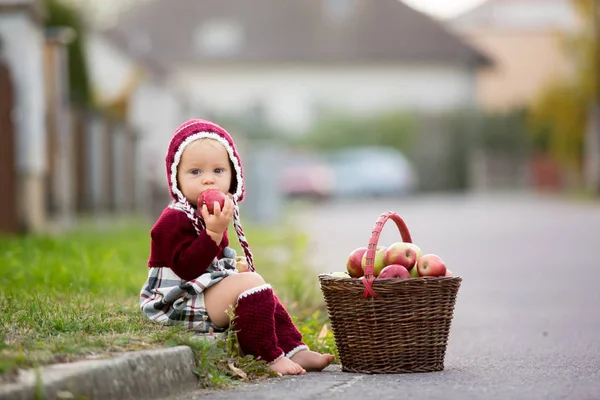 Niño comiendo manzanas en un pueblo en otoño. Pequeño niño jugar —  Fotos de Stock