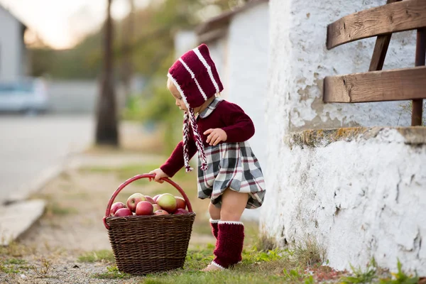 Bambino che mangia mele in un villaggio in autunno. Bambino bambino giocare — Foto Stock