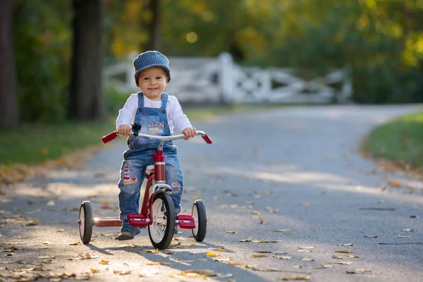 Dulce niño, montar en triciclo en el parque al atardecer, otoño — Foto de Stock