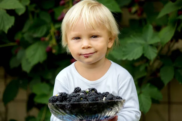 Bambino felice, tenendo more, in giardino — Foto Stock