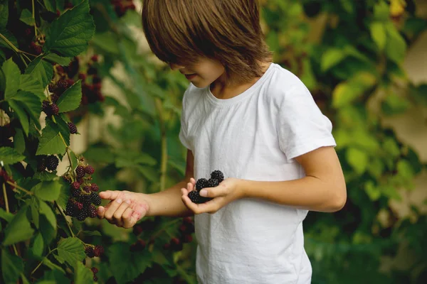 Счастливый ребенок, держа чучело в саду — стоковое фото