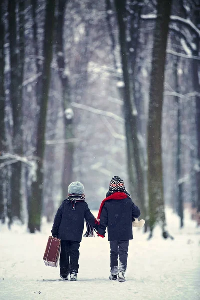 Due figli, fratelli maschi, che camminano in una foresta con vecchie suitcas — Foto Stock