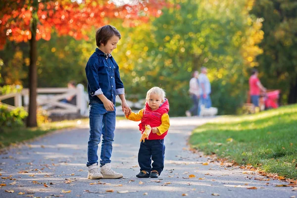 幸せな小さな子供たち、男の子と彼の弟、笑いとpl — ストック写真