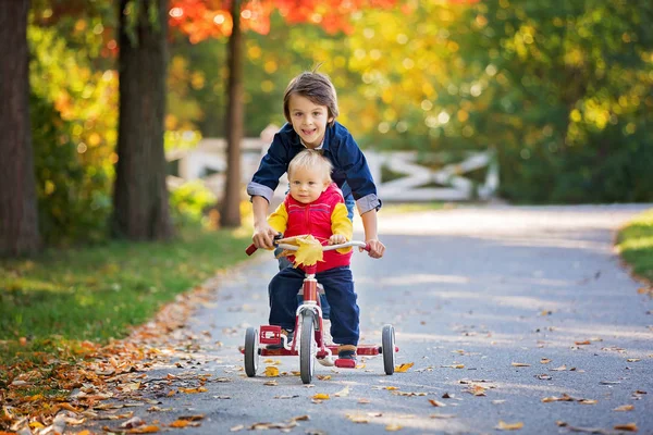 Söt småbarn pojke, ridning trehjuling i parken på solnedgång, höst — Stockfoto