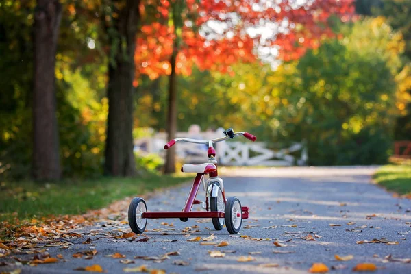 Милый мальчик, катание на трехколесном велосипеде в парке на закате, осень — стоковое фото