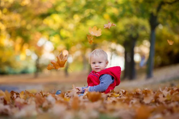 Ευτυχισμένο μικρό παιδί, αγοράκι, γελώντας και παίζοντας το φθινόπωρο — Φωτογραφία Αρχείου